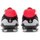 Nike Legend 10 Academy FG/MG